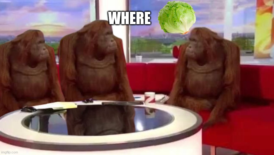 Lettuce 3: The Look For Lettuce | WHERE | image tagged in where monkey | made w/ Imgflip meme maker