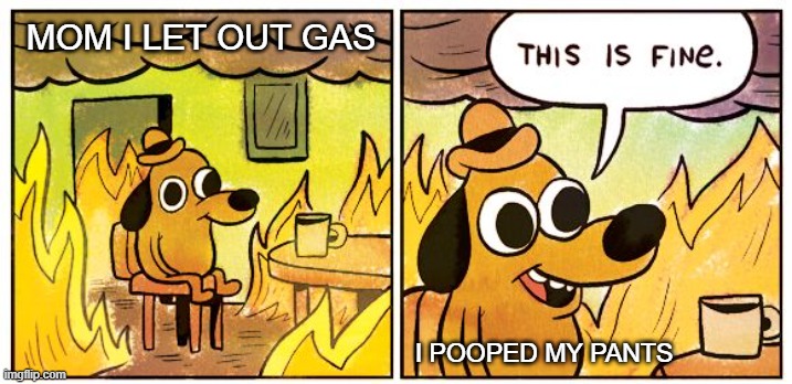 This Is Fine Meme | MOM I LET OUT GAS; I POOPED MY PANTS | image tagged in memes,this is fine | made w/ Imgflip meme maker