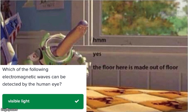 I wonder what is visible | image tagged in hmm yes the floor here is made out of floor | made w/ Imgflip meme maker