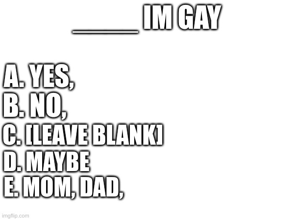tyedtiyvyugew | ____ IM GAY; A. YES, B. NO, C. [LEAVE BLANK]; D. MAYBE; E. MOM, DAD, | image tagged in gay,quiz | made w/ Imgflip meme maker