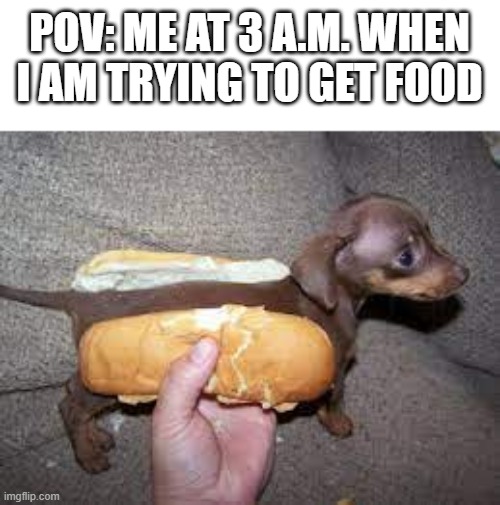 why does it taste so furry | POV: ME AT 3 A.M. WHEN I AM TRYING TO GET FOOD | image tagged in funny,memes,hot dogs,i accidently ate my dog,if you read this tag you are cursed,me in the middle of the night | made w/ Imgflip meme maker