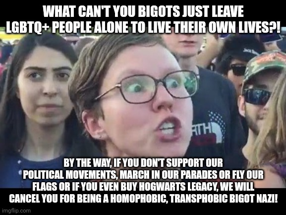 They claim to want to be left alone, yet they harass people just for not agreeing with their opinions | WHAT CAN'T YOU BIGOTS JUST LEAVE LGBTQ+ PEOPLE ALONE TO LIVE THEIR OWN LIVES?! BY THE WAY, IF YOU DON'T SUPPORT OUR POLITICAL MOVEMENTS, MARCH IN OUR PARADES OR FLY OUR FLAGS OR IF YOU EVEN BUY HOGWARTS LEGACY, WE WILL CANCEL YOU FOR BEING A HOMOPHOBIC, TRANSPHOBIC BIGOT NAZI! | image tagged in angry sjw,lgbtq,liberal hypocrisy,stupid liberals | made w/ Imgflip meme maker