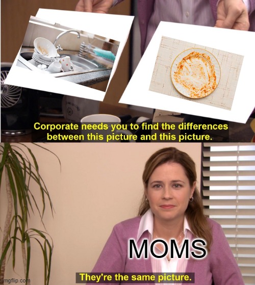 moms and dishes | MOMS | image tagged in memes,they're the same picture | made w/ Imgflip meme maker