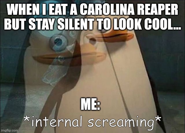 When I eat a Carolina reaper and I internally scream | WHEN I EAT A CAROLINA REAPER BUT STAY SILENT TO LOOK COOL... ME: | image tagged in private internal screaming | made w/ Imgflip meme maker