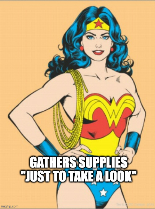 wonder woman  | GATHERS SUPPLIES "JUST TO TAKE A LOOK" | image tagged in wonder woman | made w/ Imgflip meme maker
