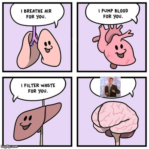 organs | image tagged in organs and brain | made w/ Imgflip meme maker