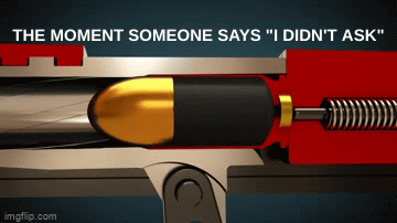 I swear if someone says I didn't ask - Imgflip