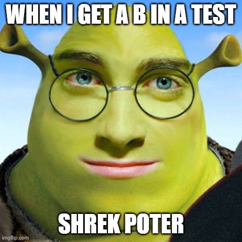 smart shrek | WHEN I GET A B IN A TEST; SHREK POTER | image tagged in smart shrek | made w/ Imgflip meme maker