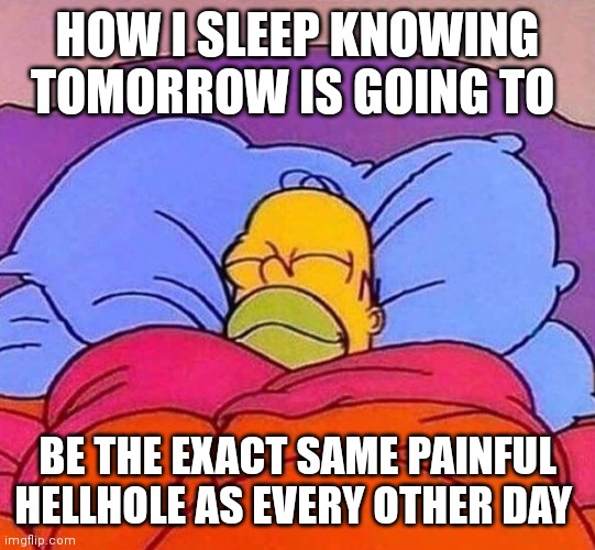:) | HOW I SLEEP KNOWING TOMORROW IS GOING TO; BE THE EXACT SAME PAINFUL HELLHOLE AS EVERY OTHER DAY | image tagged in homer simpson sleeping peacefully | made w/ Imgflip meme maker