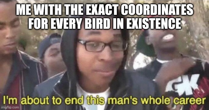 I’m about to end this man’s whole career | ME WITH THE EXACT COORDINATES FOR EVERY BIRD IN EXISTENCE | image tagged in i m about to end this man s whole career | made w/ Imgflip meme maker
