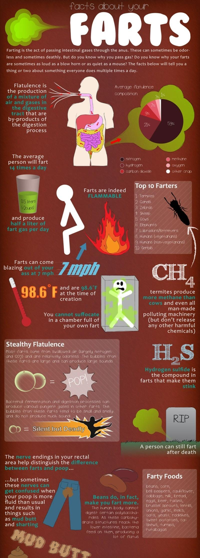 image tagged in funny,infographics,farting