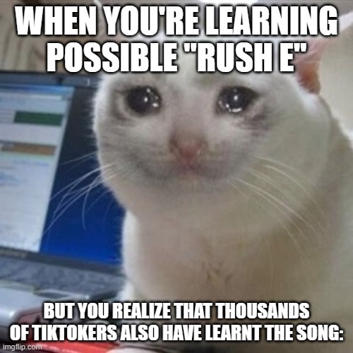 I'm not special anymore... XD | WHEN YOU'RE LEARNING POSSIBLE "RUSH E"; BUT YOU REALIZE THAT THOUSANDS OF TIKTOKERS ALSO HAVE LEARNT THE SONG: | image tagged in crying cat | made w/ Imgflip meme maker