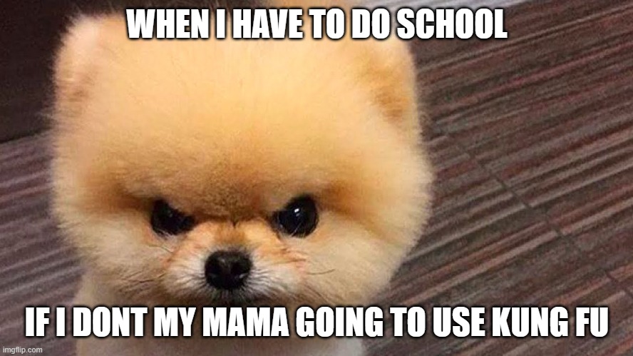 i dislike school | WHEN I HAVE TO DO SCHOOL; IF I DONT MY MAMA GOING TO USE KUNG FU | image tagged in school sucks | made w/ Imgflip meme maker