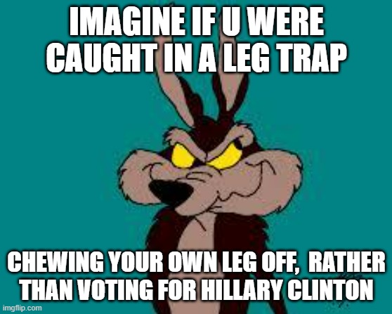 COYOTE PRETTY ON THE INSIDE! | IMAGINE IF U WERE CAUGHT IN A LEG TRAP; CHEWING YOUR OWN LEG OFF,  RATHER
THAN VOTING FOR HILLARY CLINTON | image tagged in coyote,fugly,hillary clinton 2016,bill clinton - sexual relations,chelsea clinton,elvis presley | made w/ Imgflip meme maker