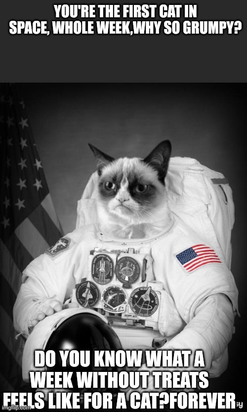 Grumpy Spacecat | YOU'RE THE FIRST CAT IN SPACE, WHOLE WEEK,WHY SO GRUMPY? DO YOU KNOW WHAT A WEEK WITHOUT TREATS FEELS LIKE FOR A CAT?FOREVER | image tagged in grumpy spacecat | made w/ Imgflip meme maker