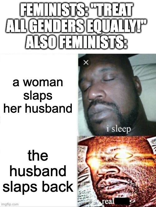 honestly tho :/ | FEMINISTS: "TREAT ALL GENDERS EQUALLY!"
ALSO FEMINISTS:; a woman slaps her husband; the husband slaps back | image tagged in memes,sleeping shaq,feminist,hypocrite,hypocrites,hypocritical feminist | made w/ Imgflip meme maker