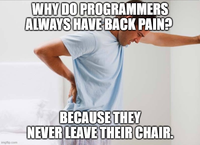 Back pain | WHY DO PROGRAMMERS ALWAYS HAVE BACK PAIN? BECAUSE THEY NEVER LEAVE THEIR CHAIR. | image tagged in back pain | made w/ Imgflip meme maker