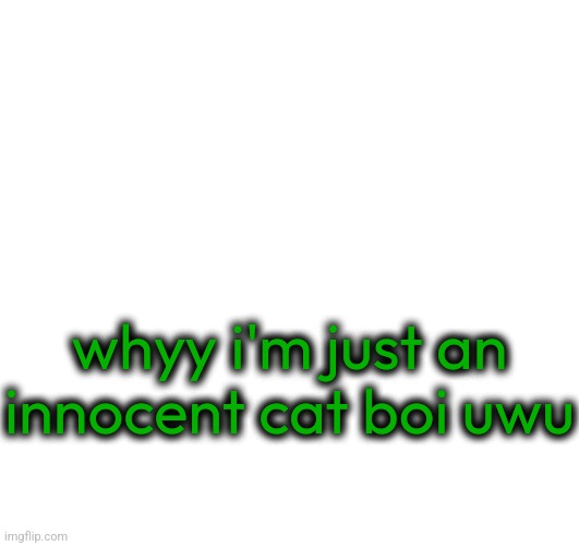 iunfunny.co | whyy i'm just an innocent cat boi uwu | image tagged in iunfunny co | made w/ Imgflip meme maker