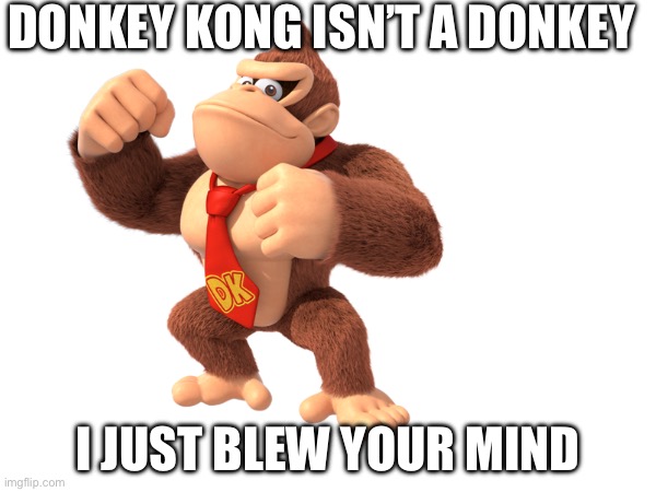 WTF | DONKEY KONG ISN’T A DONKEY; I JUST BLEW YOUR MIND | image tagged in donkey,kong | made w/ Imgflip meme maker
