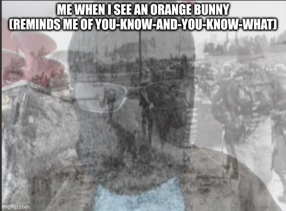 Blurry-nugget bad memories | ME WHEN I SEE AN ORANGE BUNNY (REMINDS ME OF YOU-KNOW-AND-YOU-KNOW-WHAT) | image tagged in blurry-nugget bad memories | made w/ Imgflip meme maker