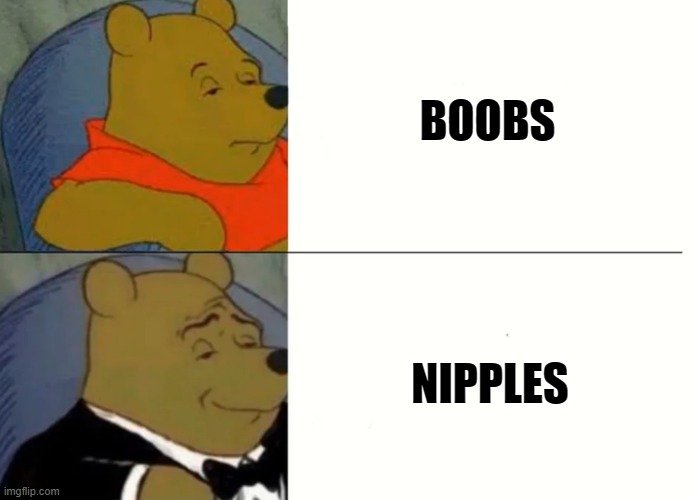 Fancy Winnie The Pooh Meme | BOOBS; NIPPLES | image tagged in fancy winnie the pooh meme | made w/ Imgflip meme maker