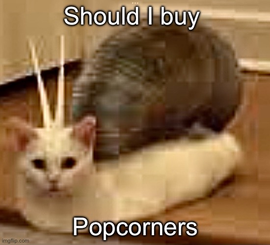 Bc breaking bad commercial | Should I buy; Popcorners | image tagged in snail cat | made w/ Imgflip meme maker