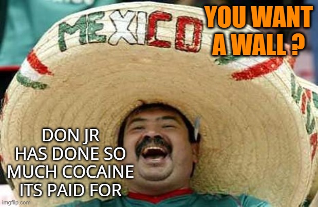 Mexico | YOU WANT A WALL ? DON JR HAS DONE SO MUCH COCAINE ITS PAID FOR | image tagged in mexico | made w/ Imgflip meme maker