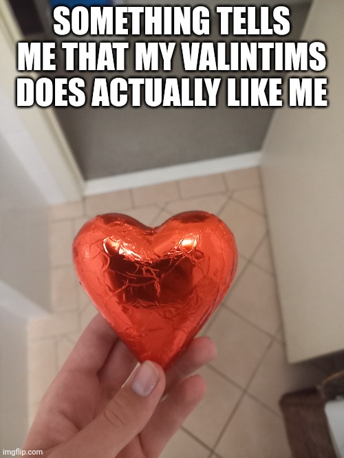 SOMETHING TELLS ME THAT MY VALINTIMS DOES ACTUALLY LIKE ME | made w/ Imgflip meme maker