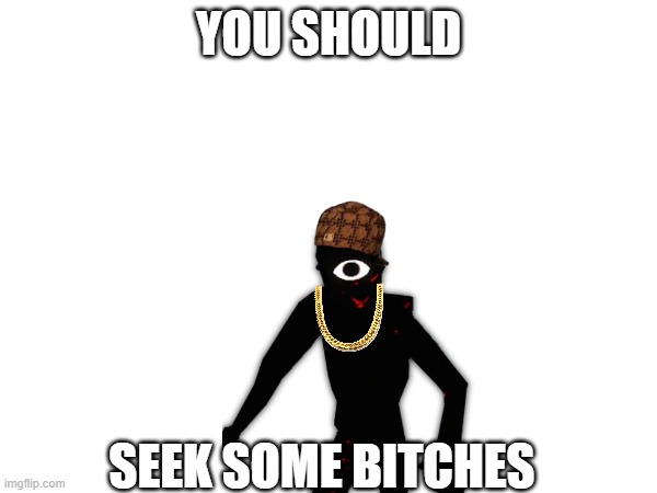 Seek Bitches | YOU SHOULD; SEEK SOME BITCHES | image tagged in no bitches,doors,roblox | made w/ Imgflip meme maker