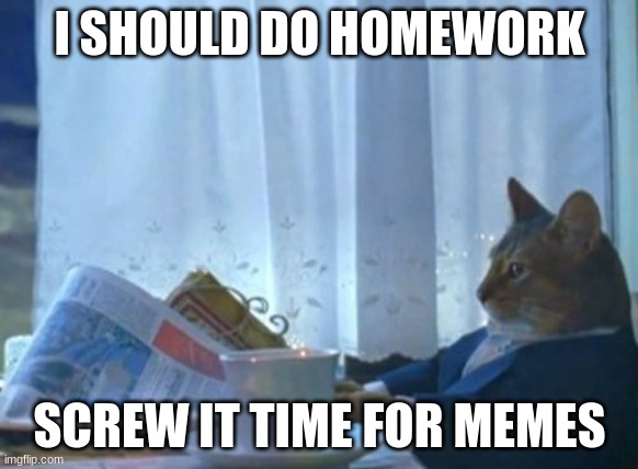 I Should Buy A Boat Cat | I SHOULD DO HOMEWORK; SCREW IT TIME FOR MEMES | image tagged in memes,i should buy a boat cat | made w/ Imgflip meme maker