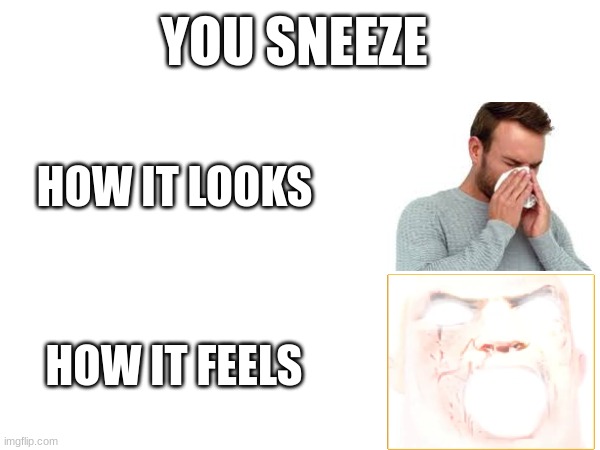 ǝ ʅ ʇ ᴉ ꓕ | YOU SNEEZE; HOW IT LOOKS; HOW IT FEELS | image tagged in so true,memes,funny,sneezing,mr incredible becoming canny | made w/ Imgflip meme maker
