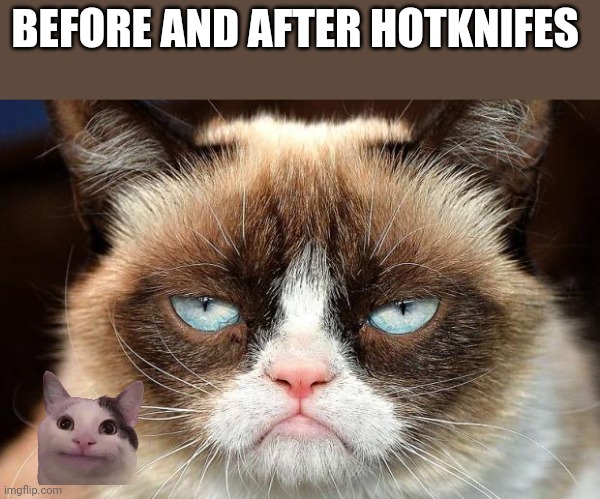 Grumpy Cat Not Amused | BEFORE AND AFTER HOTKNIFES | image tagged in memes,grumpy cat not amused,grumpy cat | made w/ Imgflip meme maker