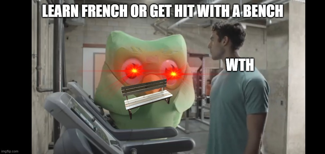 At the gym | LEARN FRENCH OR GET HIT WITH A BENCH; WTH | image tagged in at the gym | made w/ Imgflip meme maker