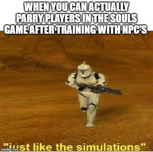 Just like the simulations | WHEN YOU CAN ACTUALLY PARRY PLAYERS IN THE SOULS GAME AFTER TRAINING WITH NPC'S | image tagged in just like the simulations | made w/ Imgflip meme maker