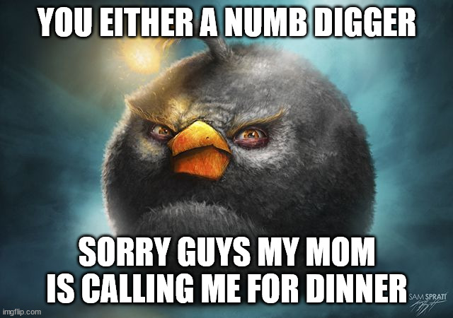 you either a | YOU EITHER A NUMB DIGGER; SORRY GUYS MY MOM IS CALLING ME FOR DINNER | image tagged in angry birds bomb | made w/ Imgflip meme maker