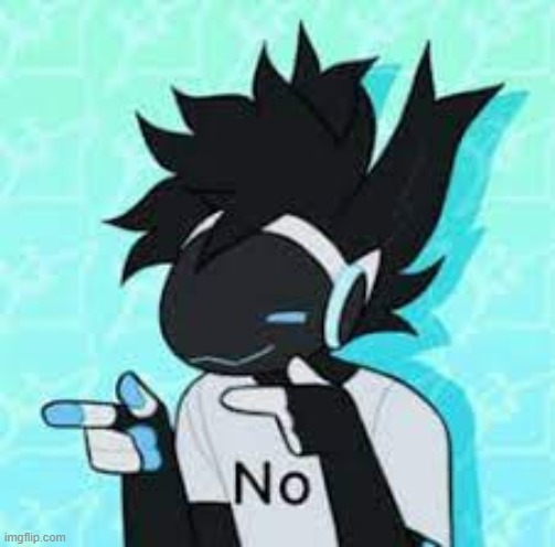 no. | image tagged in protogen no point | made w/ Imgflip meme maker