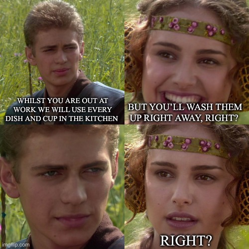 You wash them up right ? | WHILST YOU ARE OUT AT WORK WE WILL USE EVERY DISH AND CUP IN THE KITCHEN; BUT YOU’LL WASH THEM UP RIGHT AWAY, RIGHT? RIGHT? | image tagged in anakin padme 4 panel | made w/ Imgflip meme maker