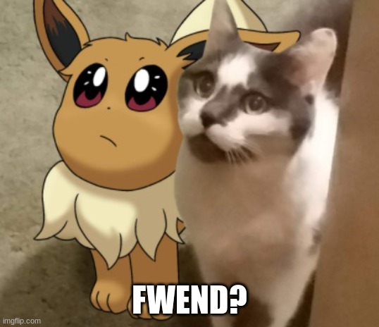 fwend? | FWEND? | image tagged in eevee and kitty | made w/ Imgflip meme maker