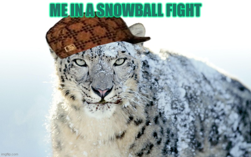save animals | ME IN A SNOWBALL FIGHT | image tagged in endangdered  animals | made w/ Imgflip meme maker