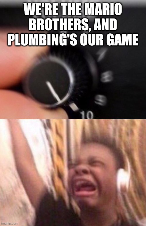 We're not like the others who get all the fame | WE'RE THE MARIO BROTHERS, AND PLUMBING'S OUR GAME | image tagged in turn up the volume | made w/ Imgflip meme maker