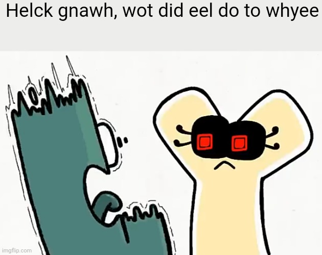 Helck gnawh, wot did eel do to whyee | made w/ Imgflip meme maker