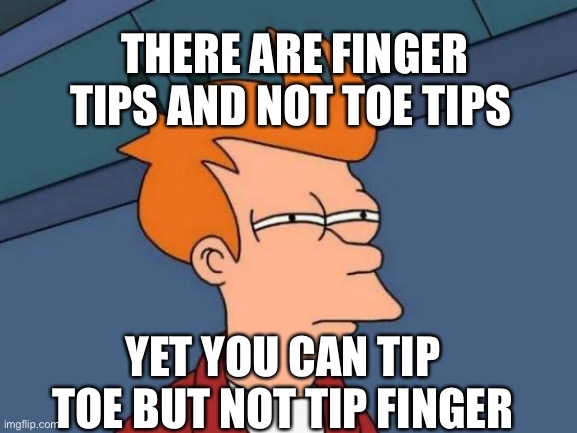 What? | THERE ARE FINGER TIPS AND NOT TOE TIPS; YET YOU CAN TIP TOE BUT NOT TIP FINGER | image tagged in memes,futurama fry | made w/ Imgflip meme maker