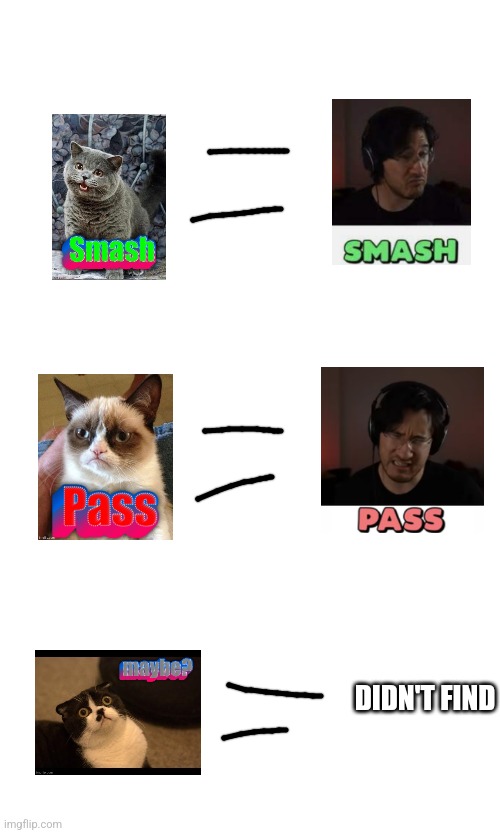 cat thing | DIDN'T FIND | made w/ Imgflip meme maker