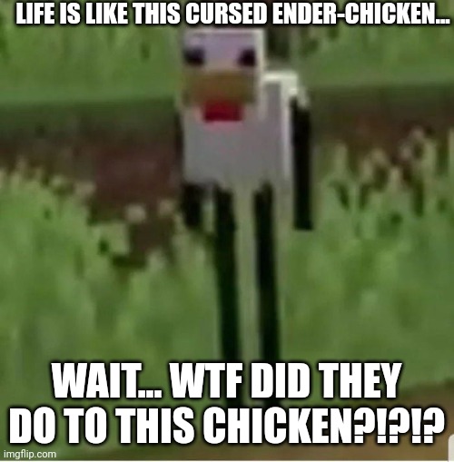 What did they do to this chicken???? | LIFE IS LIKE THIS CURSED ENDER-CHICKEN... WAIT... WTF DID THEY DO TO THIS CHICKEN?!?!? | image tagged in cursed minecraft chicken | made w/ Imgflip meme maker