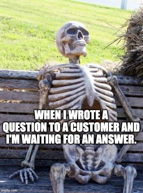 Waiting Skeleton | WHEN I WROTE A QUESTION TO A CUSTOMER AND I'M WAITING FOR AN ANSWER. | image tagged in memes,waiting skeleton | made w/ Imgflip meme maker