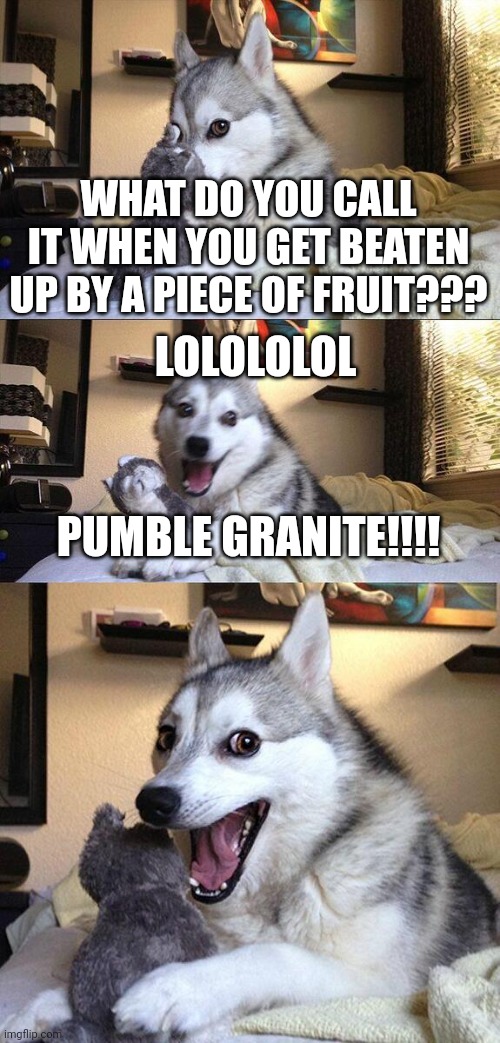 Pumble granite | WHAT DO YOU CALL IT WHEN YOU GET BEATEN UP BY A PIECE OF FRUIT??? LOLOLOLOL; PUMBLE GRANITE!!!! | image tagged in memes,bad pun dog | made w/ Imgflip meme maker