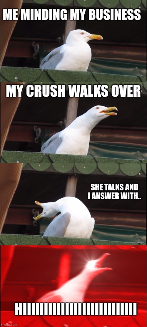 BIRD1 | ME MINDING MY BUSINESS; MY CRUSH WALKS OVER; SHE TALKS AND I ANSWER WITH.. HIIIIIIIIIIIIIIIIIIIIIIIIIII | image tagged in memes,inhaling seagull | made w/ Imgflip meme maker