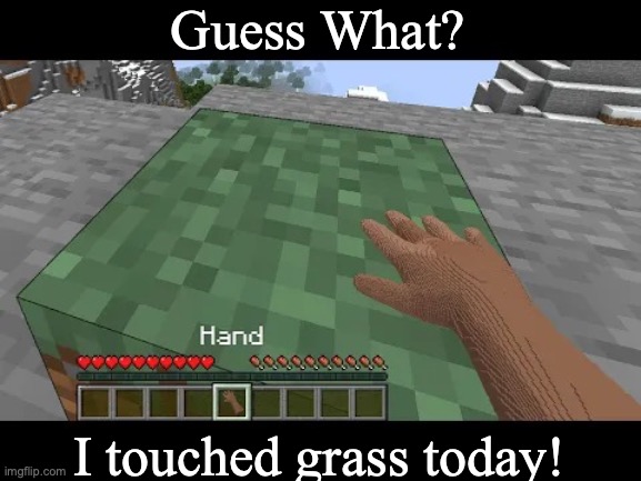 Full-Time Gamers be like... | Guess What? I touched grass today! | image tagged in hand touching minecraft grass block | made w/ Imgflip meme maker