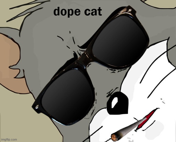 Unsettled Tom | dope cat | image tagged in memes,unsettled tom | made w/ Imgflip meme maker