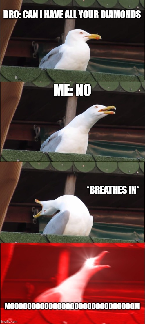 Inhaling Seagull | BRO: CAN I HAVE ALL YOUR DIAMONDS; ME: NO; *BREATHES IN*; MOOOOOOOOOOOOOOOOOOOOOOOOOOOOOM | image tagged in memes,inhaling seagull | made w/ Imgflip meme maker